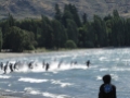 Pic one is of the swim start for Triathlon New Zealand's Contact Trophy Triathlon race (age group men), starting at 5pm on Friday January 20. Wanaka swimmers Jeno Hezinger and Tane Duncan were among the starters in this race.